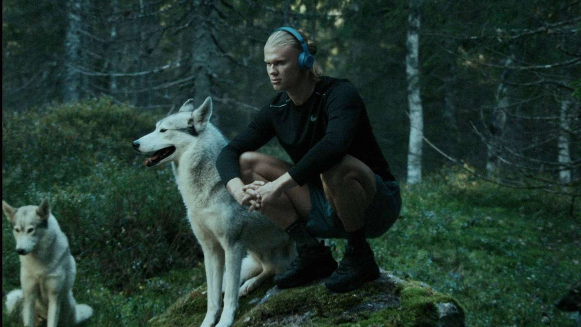 更使得隊伍 更使得隊伍